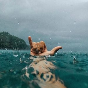 Meet your Posher, Dee